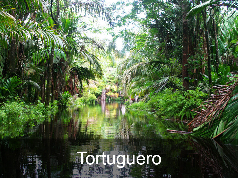 tortuguero-bestemmingen
