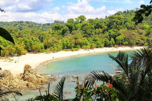 Manuel Antonio