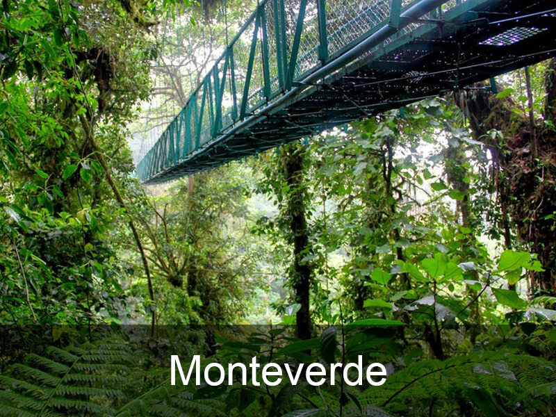 monteverde-bestemmingen