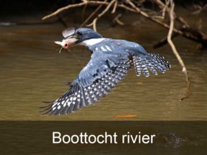 boottocht-rivier