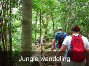 jungle-wandeling