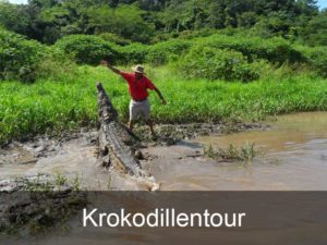 krokodillentour