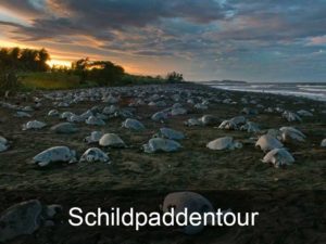 schildpaddentour