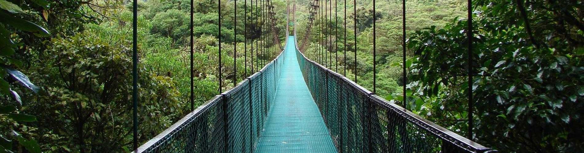 Hanging Bridges cloud forest