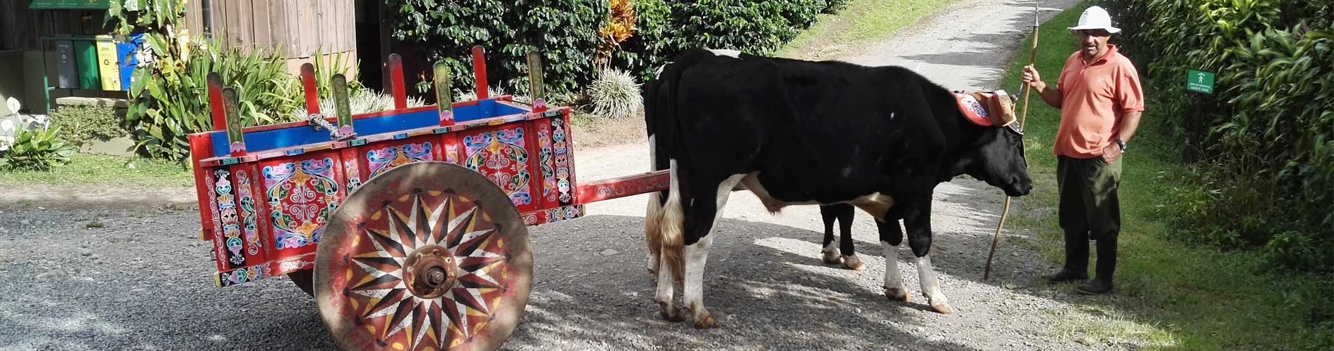 Koffietour verspreid over heel het land