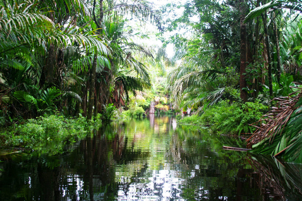 Highlights Costa Rica