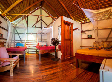 Coco Loco Lodge 1