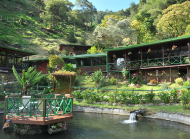 Trogon Lodge 1