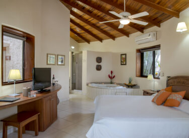 Boutique_accommodaties17